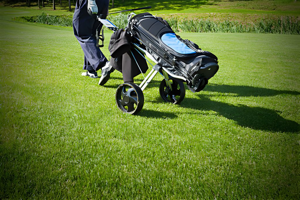 golf cart bags